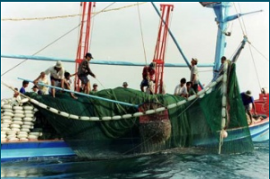 Tàu đánh bắt thủy, hải sản - Công Ty TNHH Một Thành Viên Thịnh Phát
